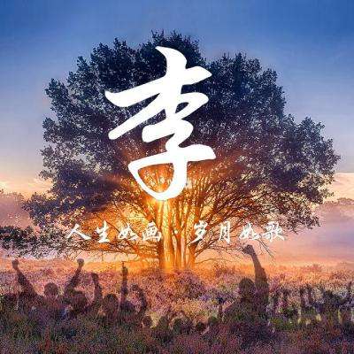 掌上自走棋官方下载