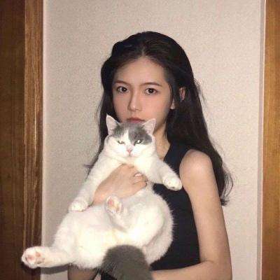 闪击骑士团果盘版下载